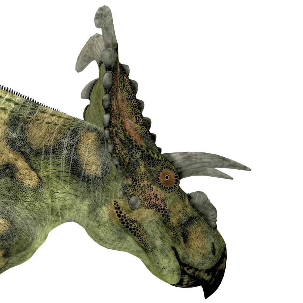Albertaceratops dinosaur head Canvas Art - Corey FordStocktrek Images (29 x 29)