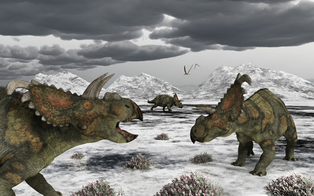 Albertaceratops during their winter migration Canvas Art - Mark StevensonStocktrek Images (18 x 12)