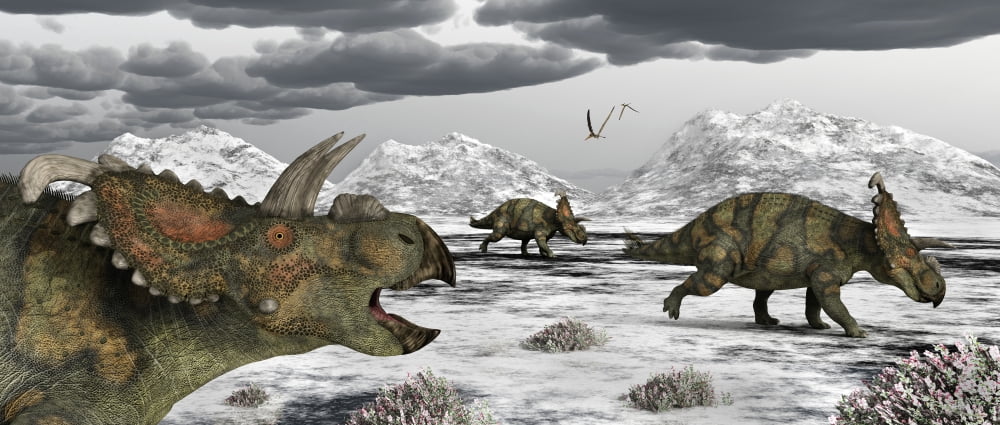 Albertaceratops during their winter migration Canvas Art - Mark StevensonStocktrek Images (22 x 10)
