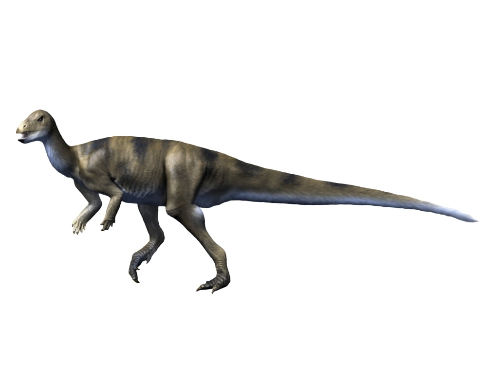 Albertadromeus syntarsus Late Cretaceous of Canada Canvas Art - Nobumichi TamuraStocktrek Images (17 x 13)