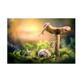 thumbnail image 1 of Alberto Ghizzi Panizza 'The Awakening Of Snails' Canvas Art, 1 of 1