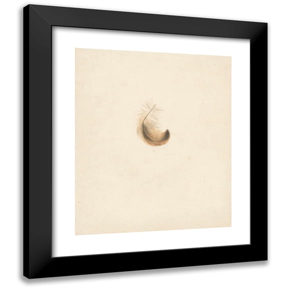 Albertus Steenbergen 12x14 Black Modern Framed Museum Art Print Titled - Study of a Feather (1824 - 1900)
