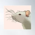 thumbnail image 1 of Albino Rex Rat Poster Wall Art, Modern Wall Decor, 16x24 UNFRAMED, 1 of 3