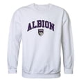 thumbnail image 1 of Albion College Britons Campus Crewneck Sweatshirt, White - Medium, 1 of 1