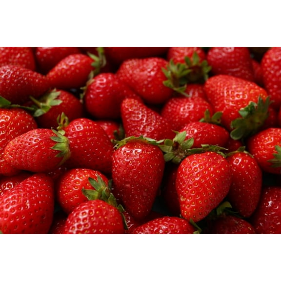 Ozark Beauty Strawberry Plants for Growing - Everbearing, Grow Your Own Food - Delicious Flavor, Great for Eating, Pies, Jams (5 Plants)