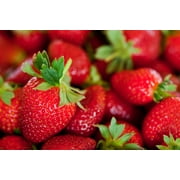 Albion Everbearing Strawberry Plants - Fruit Very Firm, Sweet, High Yields (5 Plants) Cannot Ship to California