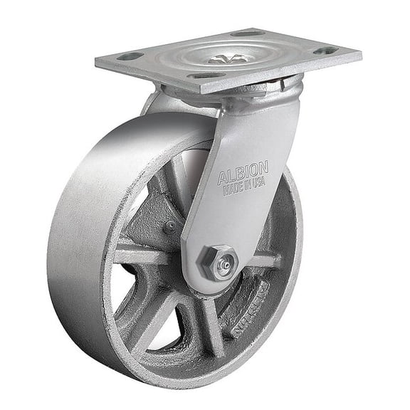 Albion 8" X 2" Cast Iron Swivel Caster, No Brake, Loads Up To 1250 lb 16CA08201S