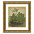 thumbnail image 1 of Albrecht Dürer 20x22 Gold Ornate Framed and Double Matted Museum Art Print Titled - Tuft of Cowslips, 1 of 4