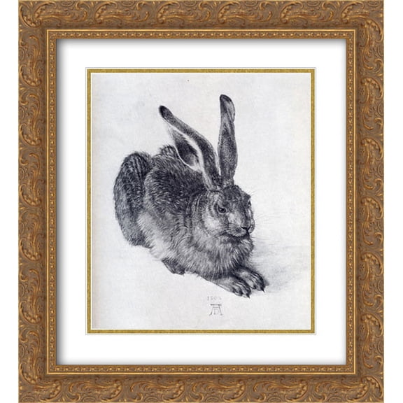 Albrecht Durer 2x Matted 20x22 Gold Ornate Framed Art Print 'Young Hare'