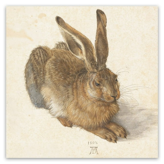 Albrecht Durer Art Print Poster - Young Hare - Fine Artwork Canvas Wall Art Decor - Contemporary Home Decor
