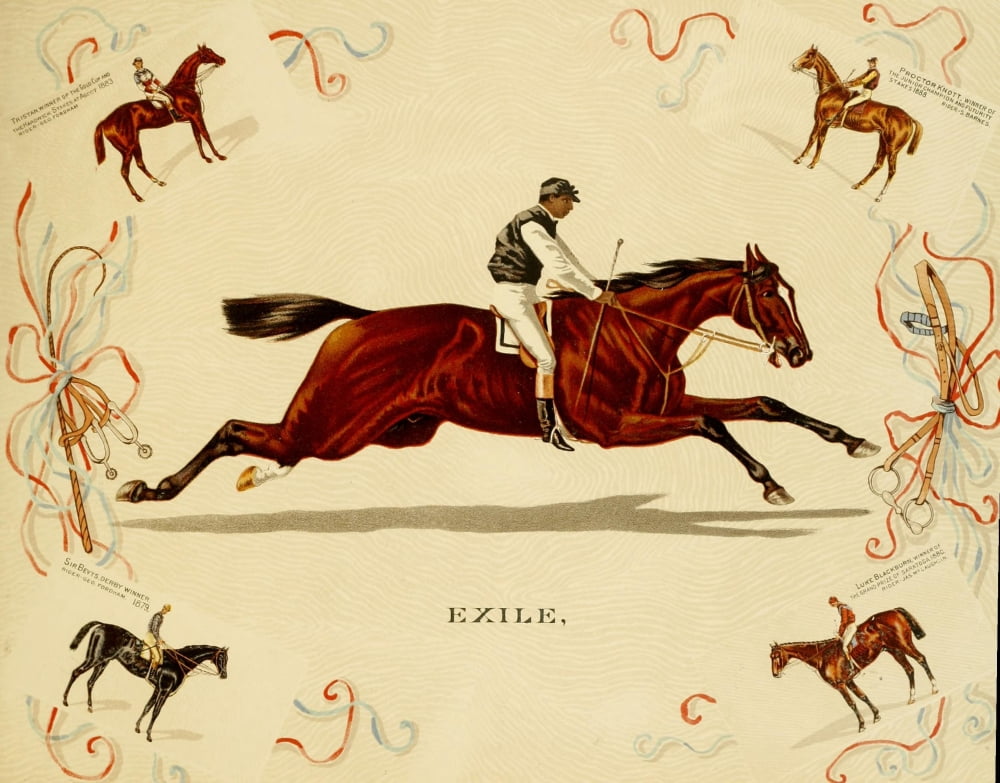 Album of Celebrated Racehorses 1888 Exile Canvas Art - Unknown (24 x 36)