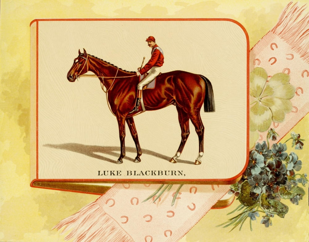 Album of Celebrated Racehorses 1888 Luke Blackburn Canvas Art - Unknown (18 x 24)