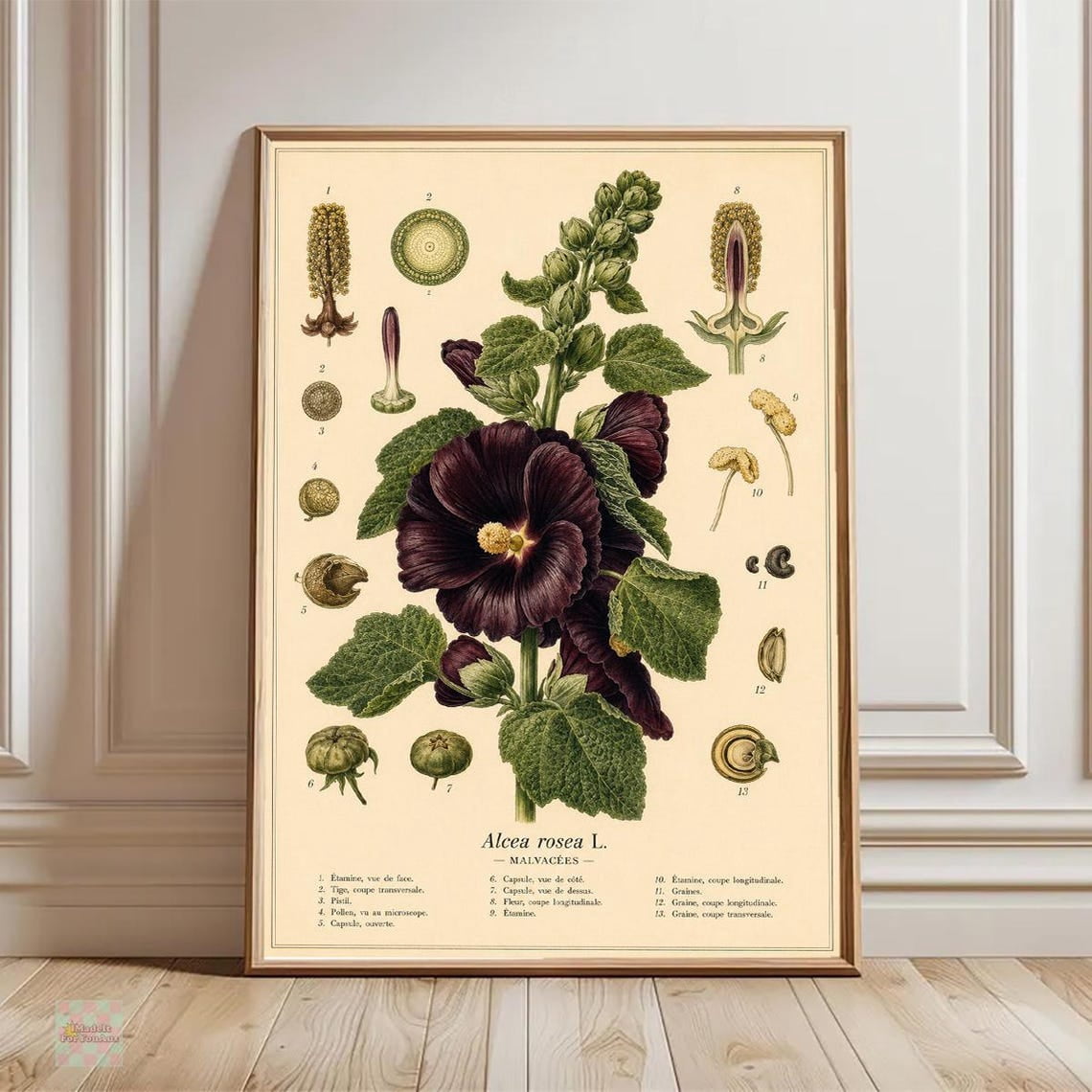 Alcea Rosea Botanical Wall Art Print, Antique Hollyhock Decor - Walmart.com