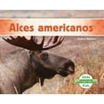thumbnail image 1 of Alces Americanos / Moose, 1 of 1