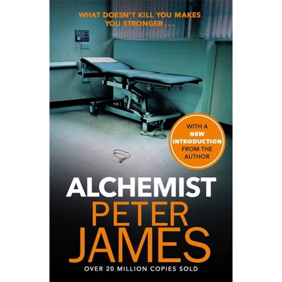 Alchemist (Paperback)