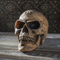 thumbnail image 1 of Alchemist's Omega Skull Figurine Sculpture Home Decor, 1 of 6
