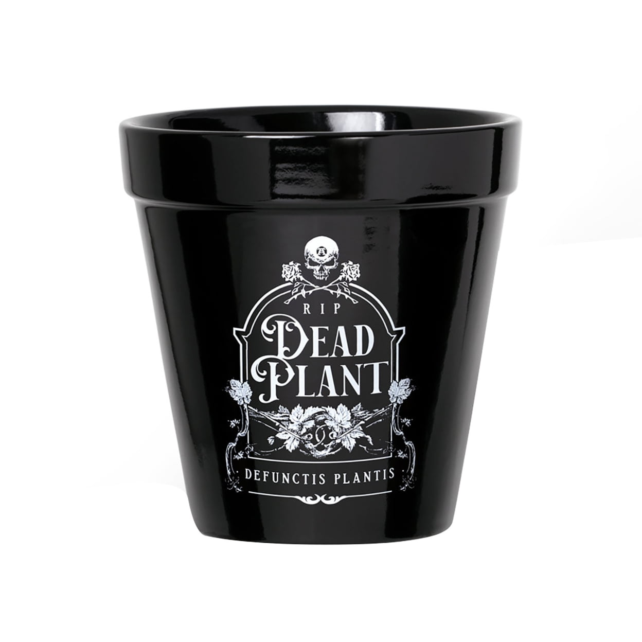 Plant Coffin Pot