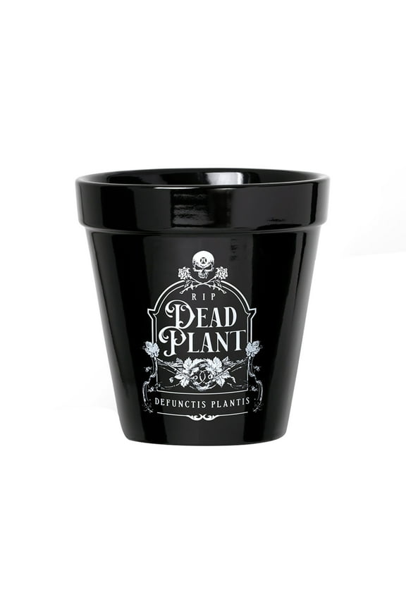 Dead Plant Plant Pot