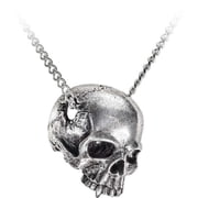 Alchemy Gothic P886 21 in. All That Remains Crushed Skull Necklace, Silver