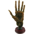 thumbnail image 1 of Alchemy Mummified Palmistry Hand Gothic, 1 of 4