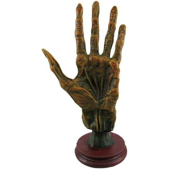 Alchemy Mummified Palmistry Hand Gothic