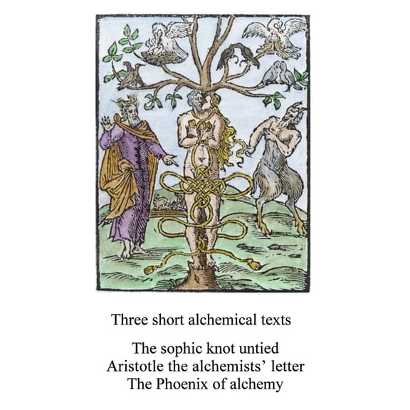 Alchemy Translations Three short alchemical texts, (Paperback)