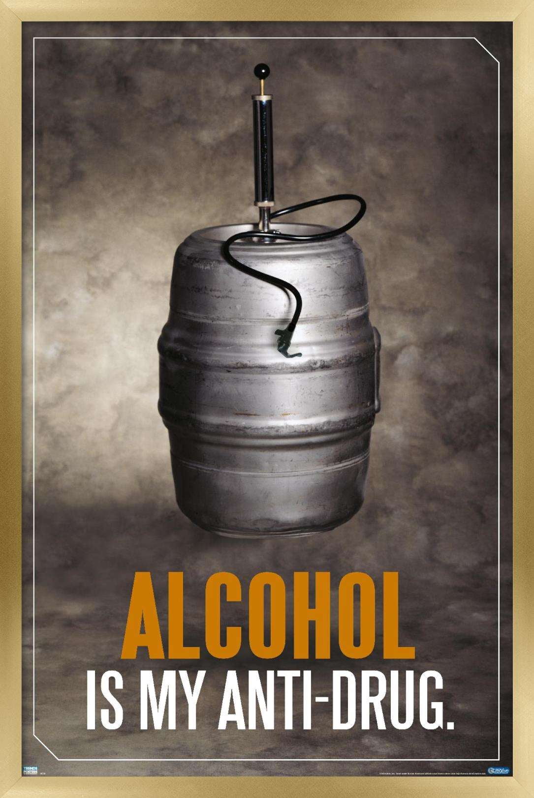 Alcohol - Anti-Drug Wall Poster, 22.375" x 34", Framed