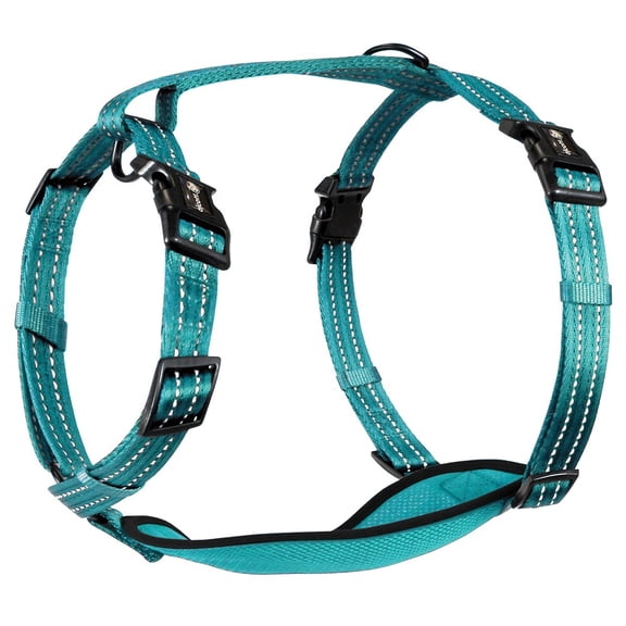 alcott Adventure Harness, Large, Blue