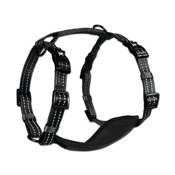 Alcott Adventure Dog Harness