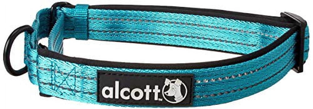 Alcott Martingale Collar with Reflective Stitching & Neoprene Padding, Large, Blue
