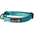 thumbnail image 1 of Alcott Martingale Collar with Reflective Stitching & Neoprene Padding, Large, Blue, 1 of 4