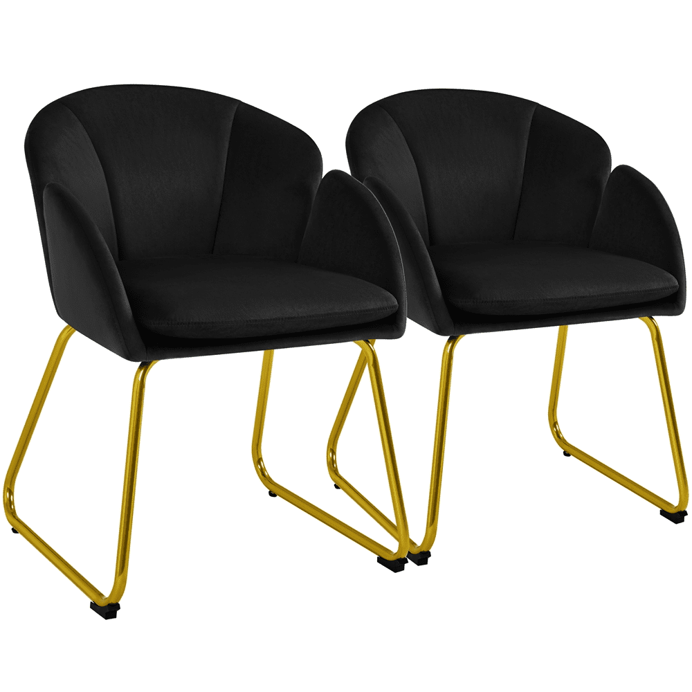 Alden Design 2pcs Modern Velvet Accent Chair with Golden Metal Legs for Living Room, Black