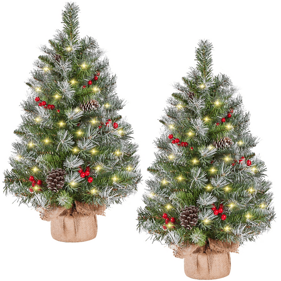 Alden Design 3ft Pre-Lit Frosted Tabletop Christmas Trees with Pinecones, Set of 2, Green