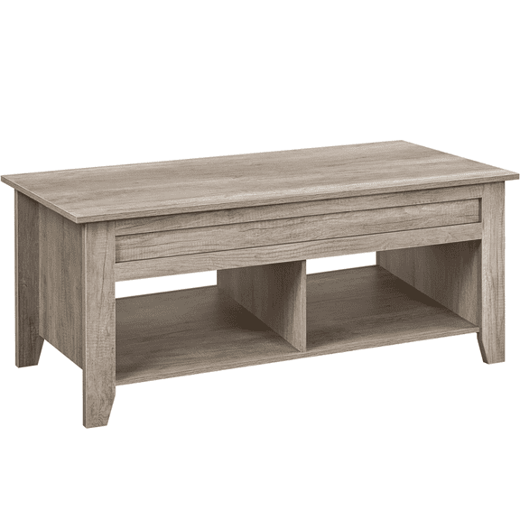 Alden Design 41" Wooden Lift Top Coffee Table with 2 Storage Compartments for Living Room, Rustic Gray