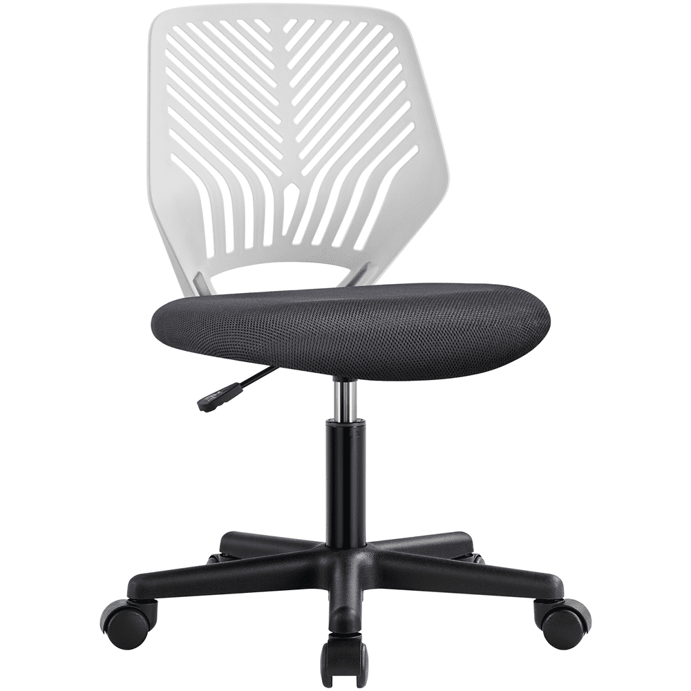 Alden Design Adjustable Armless Mid Back Office Chair, Dark Gray/White
