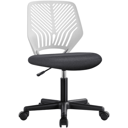 Alden Design Adjustable Armless Mid Back Office Chair, Dark Gray/White