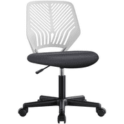 Alden Design Adjustable Armless Mid Back Office Chair, Dark Gray/White