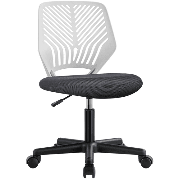Alden Design Adjustable Armless Mid Back Office Chair, Dark Gray/White