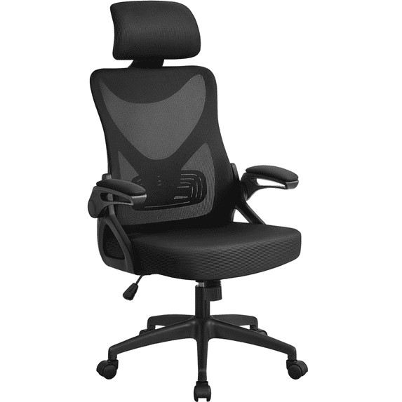 Alden Design High Back Ergonomic Mesh Office Chair with Adjustable Padded Headrest, Black