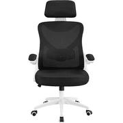 Alden Design High Back Ergonomic Mesh Office Chair with Adjustable Padded Headrest, White/Black