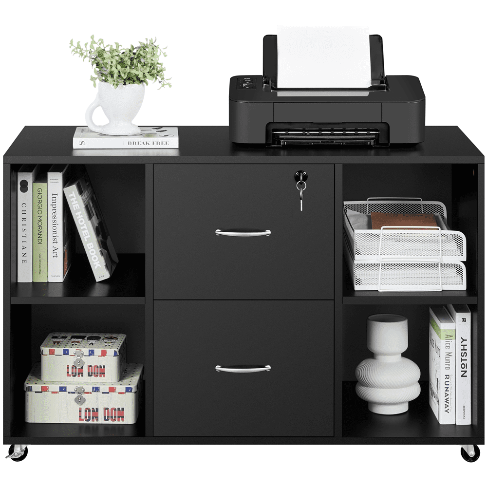 Alden Design Mobile Vintage File Cabinet with 2-Drawer for Home and Office, Black