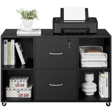 Alden Design Mobile Vintage File Cabinet with 2-Drawer for Home and Office, Black