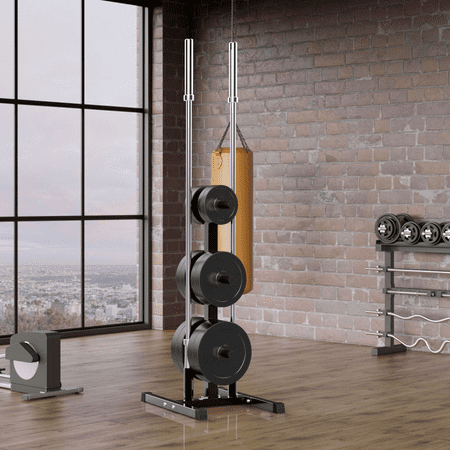 Alden Design Olympic Plate & Bar Holder Weight Bumper Plates Tree Stand Rack