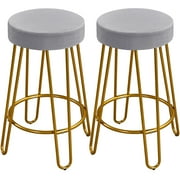 Alden Design Upholstered Velvet Counter Height Bar Stool, Set of 2, Gray