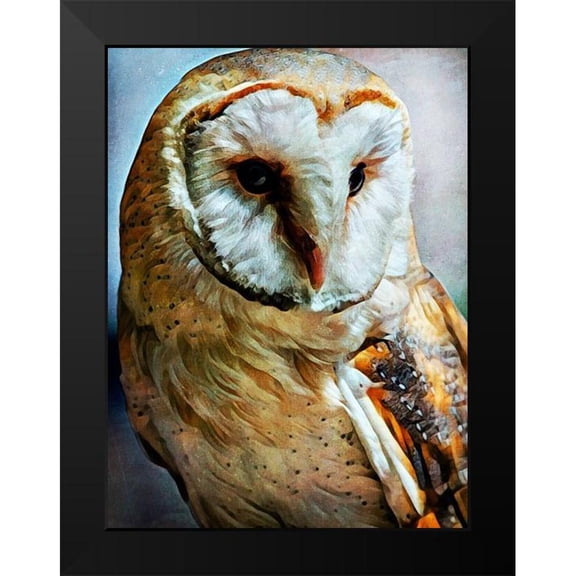 Aldridge, Ashley 12x14 Black Modern Framed Museum Art Print Titled - Barn Owl Heart Faced Hunter