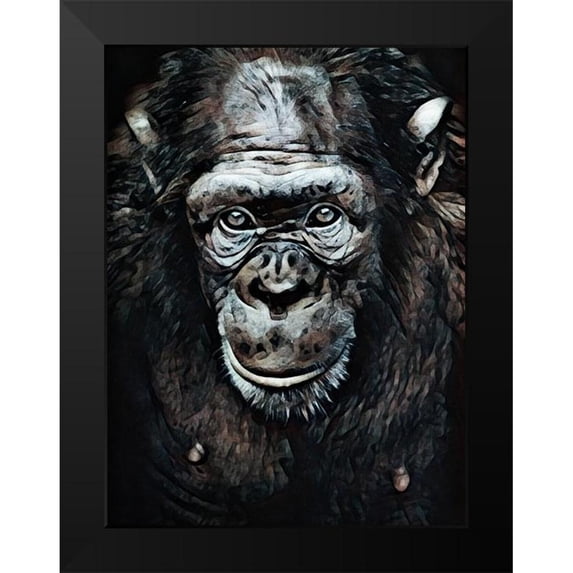 Aldridge, Ashley 12x14 Black Modern Framed Museum Art Print Titled - Chimpanzee Contemplation