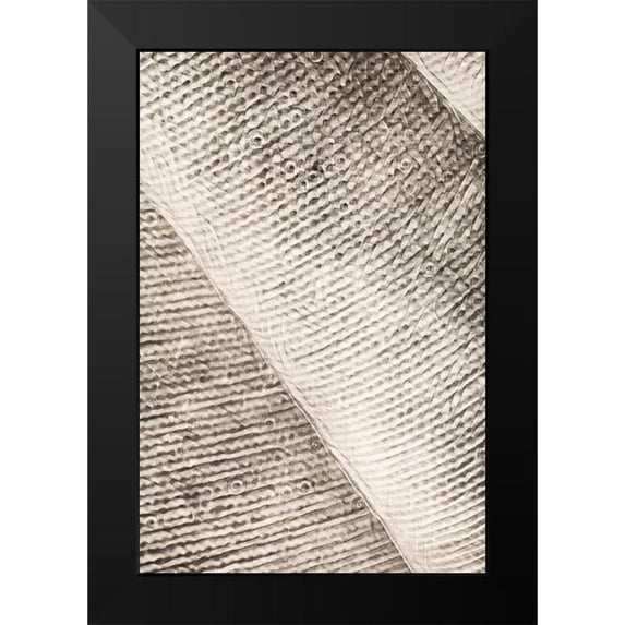 Aldridge, Ashley 13x18 Black Modern Framed Museum Art Print Titled - Woven Geometric Abstract II