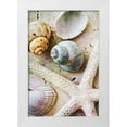 thumbnail image 1 of Aldridge, Ashley 13x18 White Modern Wood Framed Museum Art Print Titled - Seashells on Sand  Starfish on Land I, 1 of 4