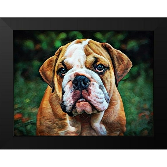 Aldridge, Ashley 14x12 Black Modern Framed Museum Art Print Titled - British Bulldog Puppy Pout