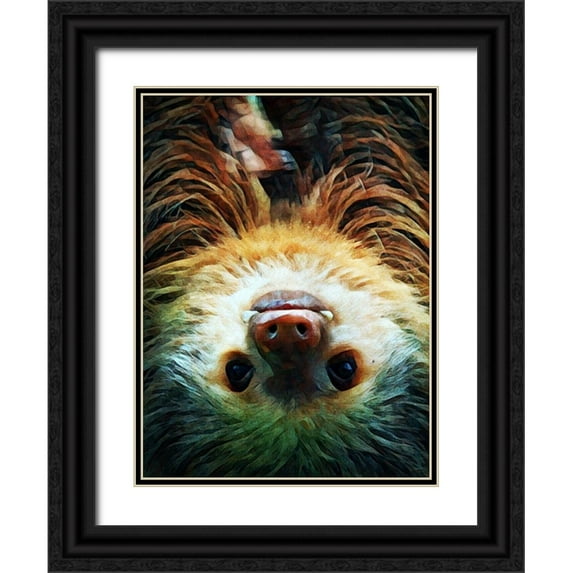 Aldridge, Ashley 15x18 Black Ornate Wood Framed with Double Matting Museum Art Print Titled - Hoffmanns Two-Toed Sloth Swing